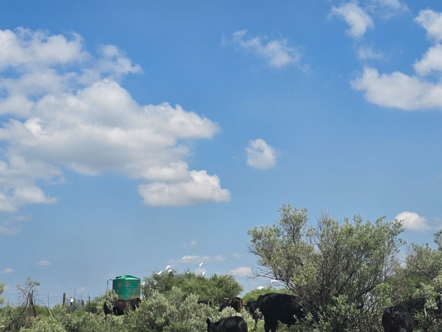 4 Bedroom Property for Sale in Jan Kempdorp Rural Northern Cape